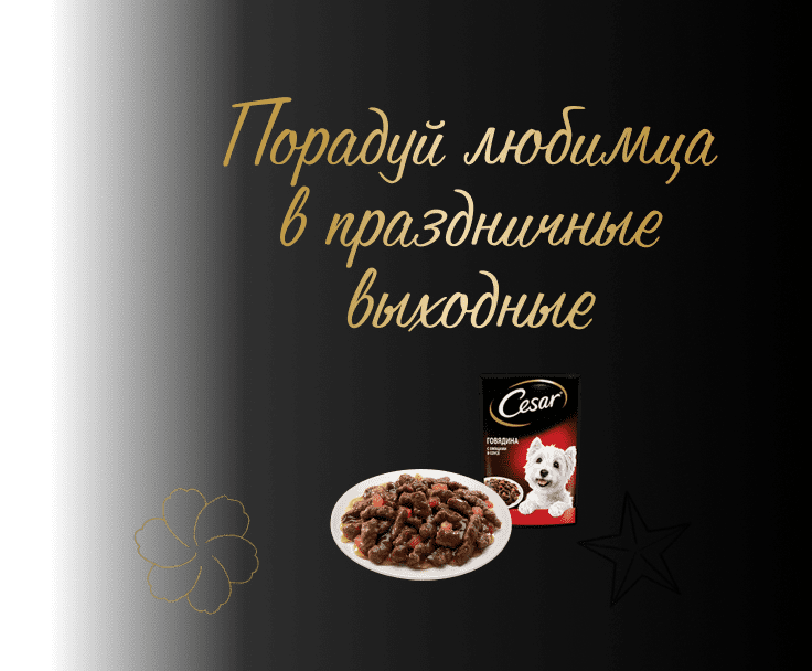 Праздники вместе