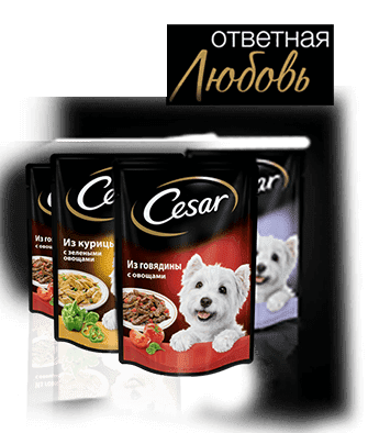 CESAR
